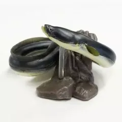 2026年最新】原色淡水魚図鑑 ウナギの人気アイテム - メルカリ