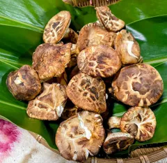 2025年最新】ばかのハコ船 の人気アイテム - メルカリ