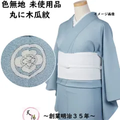 2025年最新】色無地 着物 正絹の人気アイテム - メルカリ