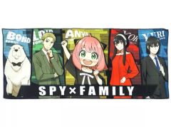 [중고] 수건·수건 SPY×FAMILY 목욕 타월 [이치반 복권 SPY×FAMILY -Mission Start!-Ver.1.5] C상