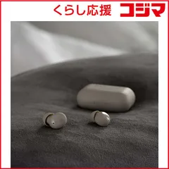 【 新品 未開封 】   FINAL 完全ワイヤレスイヤホン ASMR専用音質 ZE500 for ASMR DARK GRAY 未使用 送料無料のサムネイル