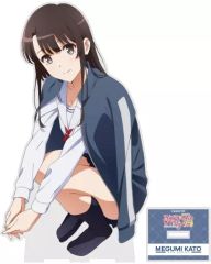 [중고] 아크릴 스탠드 아크릴 패널 카토 메구미 (저지 ver.) 신작 아크릴 스탠드 (대) [그렇지 않은 그녀의 키우는 방법 Fine]