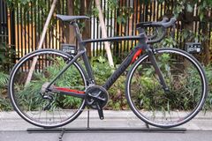 チネリ CINELLI キングジデコ KING ZYDECO 2022 Sサイズ シマノ105