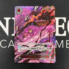 DM24RP4SP1/SP5 完全不明 - メルカリ