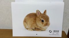 名取さな ミュージックコレクション vol.2 初回限定盤 - メルカリ