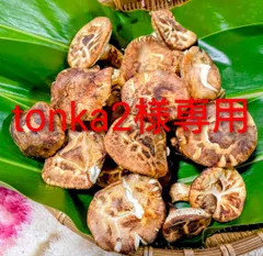 2025年最新】バカマツタケの人気アイテム - メルカリ