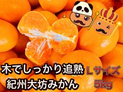 幻のみかん 紀州大坊みかん 秀品 3kg みかんキング - メルカリ