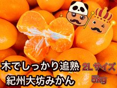 幻のみかん 紀州大坊みかん 秀品 3kg みかんキング - メルカリ