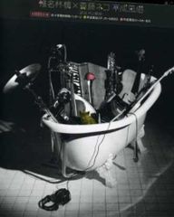 平成風俗 アナログ盤 2LP 180g 椎名林檎 斎藤ネコ - メルカリ