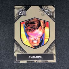 MTG 神河：輝ける世界 イラストコレクション 箔押し 15枚セット - メルカリ