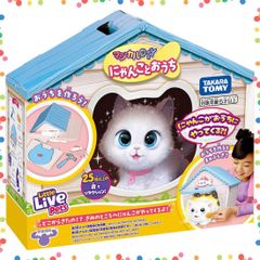 夢ねこ♡アメリカンショートヘア♡あなたのパートナー！ 【新品未開封