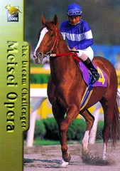 2026年最新】馬券 メイセイオペラの人気アイテム - メルカリ