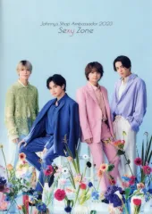 【中古】クリアファイル Sexy Zone(timelesz) A4クリアファイル(Summer) アンバサダーグッズ2023 「Johnny’s Shop」