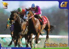 2026年最新】メイショウドトウ 馬券の人気アイテム - メルカリ