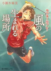 風の生まれる場所 ラブオールプレー/ポプラ社/小瀬木麻美（文庫）