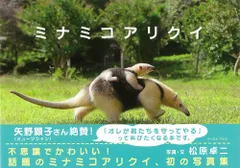 ミナミコアリクイ/イ-スト・プレス/松原卓二（単行本（ソフトカバー））