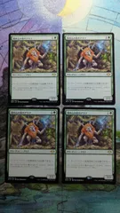 MTG　溜め込み屋のアウフ　日本語4枚　まとめ売り