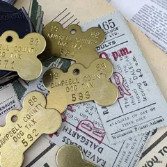 626・R-2042　 ヴィンテージ　真鍮　1988年　DOG TAX　ボーン　ドッグタグ　ヴィンテージタグ　ヴィンテージ 　レア　アクセサリー　首飾り　キーホルダー　ナンバータグ　アメリカタグ　アメリカ雑貨　直輸入