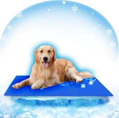 Item thumbnail for item 96a6b00c-eaf0-4a64-a2b5-f52d90f7416c