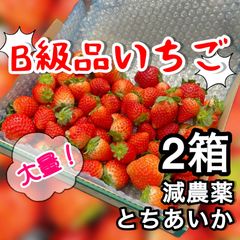 朝採れ減農薬いちご とちあいか 3箱 - メルカリ