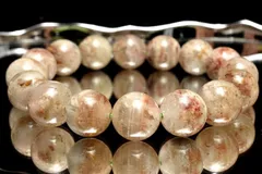 2025年最新】ガーデンスフィアの人気アイテム - メルカリ