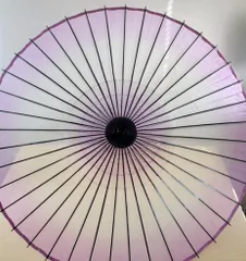 「和傘 蛇の目傘 紫 舞踊用 日本舞踊 伝統工芸」