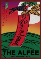 2025年最新】the alfee dvdパンフレットの人気アイテム - メルカリ