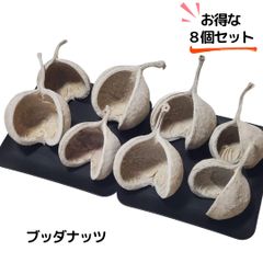 ブッダナッツ 8個セット L ウォッシュホワイト 大地農園 ハンドメイド