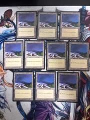 kwq8 33 平地/Plains アイスエイジ 10枚 型番統ー まとめ 人気絵柄 基本土地 大量 ICE 英語版 EN MTG