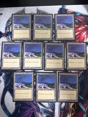 kwq8 34 平地/Plains アイスエイジ 10枚 型番統ー まとめ 人気絵柄 基本土地 大量 ICE 英語版 EN MTG