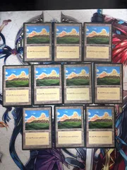kwq8 36 平地/Plains アイスエイジ 10枚 型番統ー まとめ 人気絵柄 基本土地 大量 ICE 英語版 EN MTG
