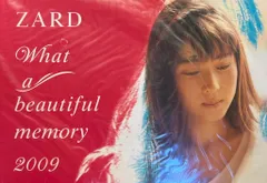 2025年最新】ZARD WHAT a beautiful memoryの人気アイテム - メルカリ