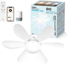 Item thumbnail for item b6795756-f9ac-4393-9415-ea1d1696412e