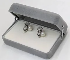 N 最終値下げ【パール・石付きイヤリング】真珠 パール シルバーカラー イヤリング アクセサリー 小物 外箱付き
