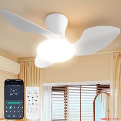 Item thumbnail for item 86f844cf-cd75-4e1a-85eb-7d132617e8c1