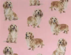 【ゆきちゃん限定】X2497 ダックス イエロー（クリーム）ピンク 布 1m