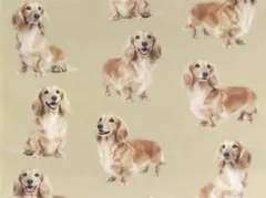 【ゆきちゃん限定】X2503 ダックス イエロー（クリーム）クリーム 1m