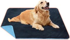 Item thumbnail for item c168129d-691e-4262-ad2a-eb9cc6cb02f9