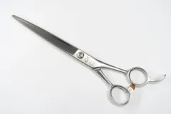 2025年最新】天洋 gの人気アイテム - メルカリ