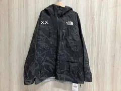 THE NORTH FACE ザノースフェイス KAWS カウズ freeride Jacket マウンテンパーカー ジャケット Dryvent XLサイズ ブラック