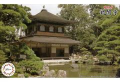 Item thumbnail for item c48ecff8-d710-4280-b651-b91e71ee99f7