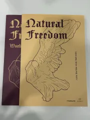 デソン ション.T ナチュラルFREEDOM 解説