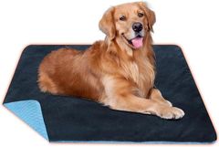 Item thumbnail for item 45404d8f-8057-4eca-88e9-fe43f4c80648