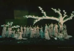 【中古】生写真(乃木坂46) 櫻坂46/集合/CD「五月雨よ」(通常盤)Loppi・HMV限定特典生写真