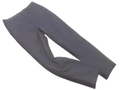 URBAN RESEARCH アーバンリサーチ 裏起毛 ストライプ テーパード パンツ size36/紺 ◇■ レディース