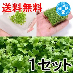 （ネコポス）前景草　３種セット（水上葉）＋おまかせモス　ハーフクッション（水中葉）（無農薬）（４６１７６９）