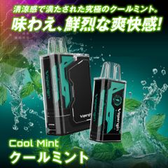 Vapengin Model3（ベイプエンジンモデル3）スターター（本体1個・フレーバーカートリッジ クールミント1個） ベイプ 本体 持ち運びシーシャ vape 電子タバコ 爆煙
