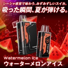 Vapengin Model3（ベイプエンジンモデル3）スターター（本体1個・フレーバーカートリッジ ウォーターメロンアイス1個） ベイプ 本体 持ち運びシーシャ vape 電子タバコ 爆煙