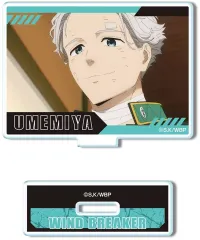 【中古】アクリルスタンド・アクリルパネル A.梅宮一 「WIND BREAKER トレーディングアクリルスタンド」