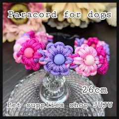 Item thumbnail for item 174358d6-3b40-4abf-8956-91a97a8746fe